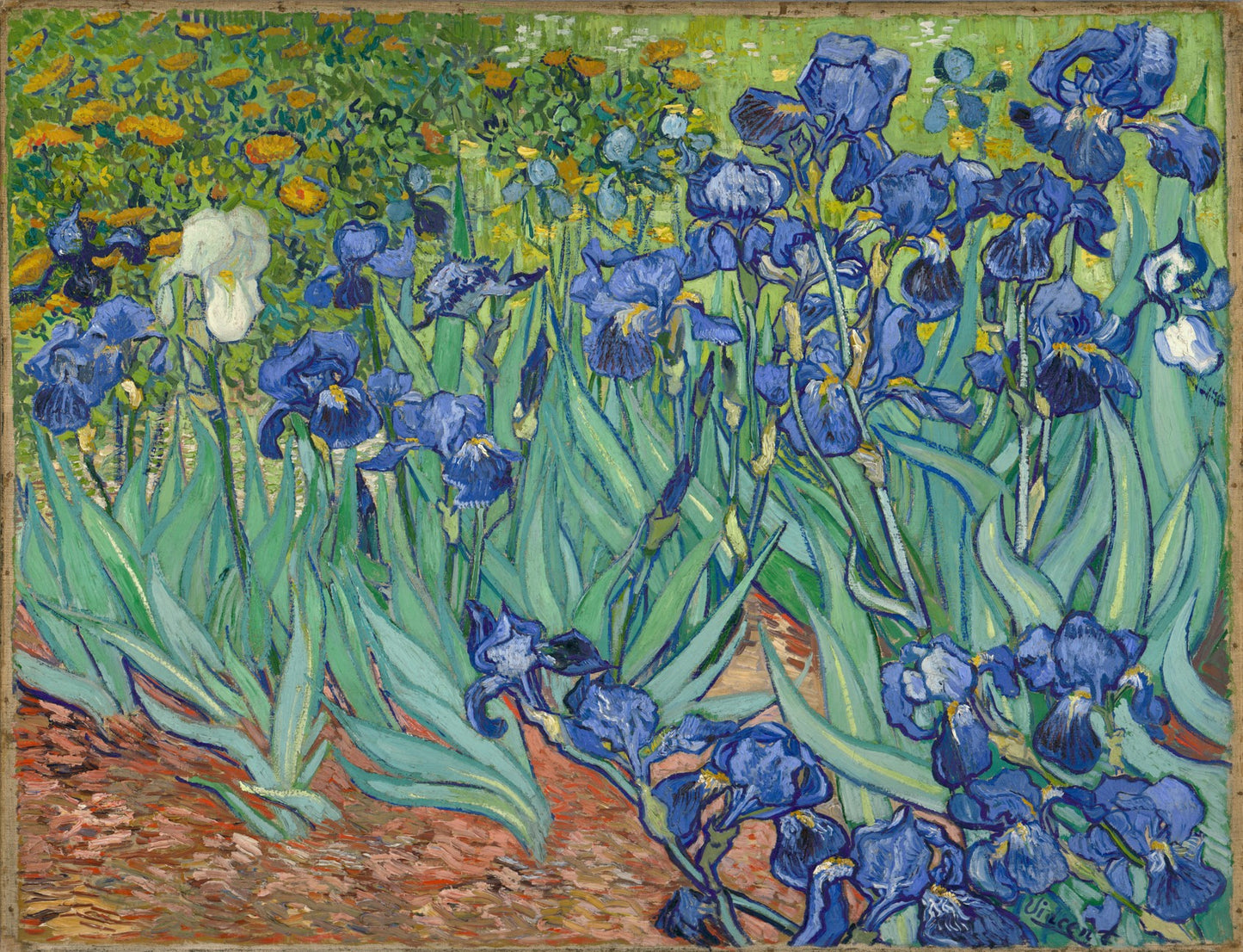 Irises - Vincent Van Gogh