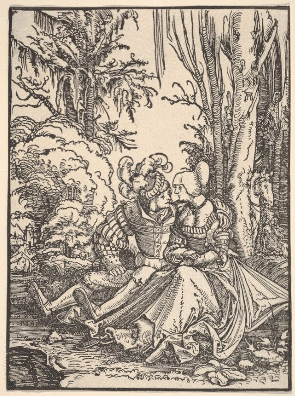 Pair of lovers in the forest - Albrecht Altdorfer