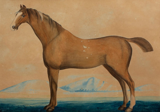 Study of a bay horse - Shaikh Muhammad Amir of Karraya