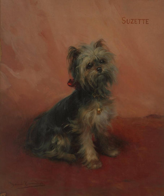 Suzette - Daniel Hernández Morillo